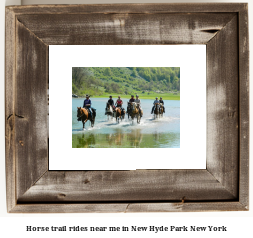 horse trail rides near me in New Hyde Park, New York